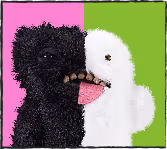 Misfit Monsters
